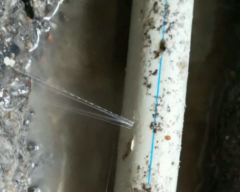 苏尼特左卫生间测漏水多少钱