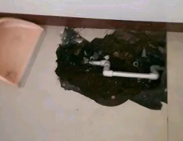 苏尼特左卫生间测漏水多少钱